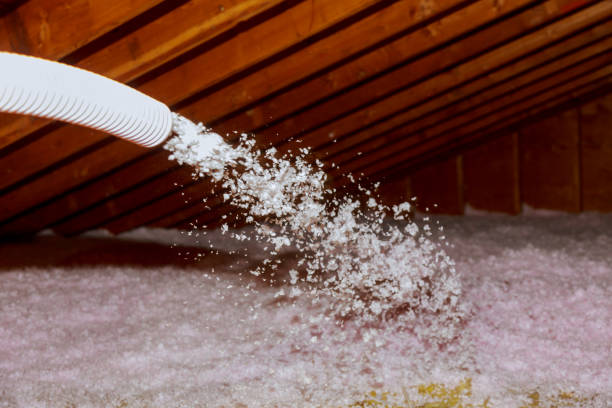 Best Spray Foam Insulation  in East Lake Orient Park, FL