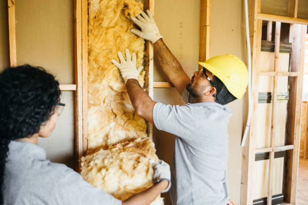 Trusted East Lake Orient Park, FL Insulation Contractor Experts