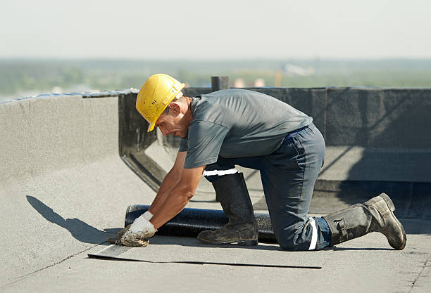 Best Energy-efficient Insulation  in East Lake Orient Park, FL
