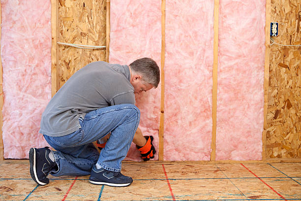 Best Attic Insulation Installation  in East Lake Orient Park, FL