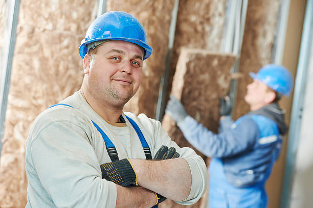 Best Wall Insulation Contractor  in East Lake Orient Park, FL