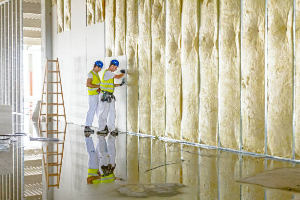 Best Insulation Inspection Services  in East Lake Orient Park, FL